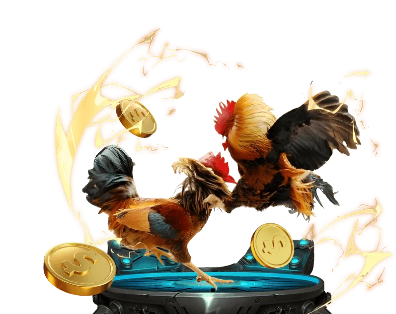 Minh họa các loại cookie khác nhau và chức năng của chúng trên nền tảng 13win 1